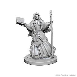 D&D® Nolzur’s Marvelous Miniatures: Human Female Wizard